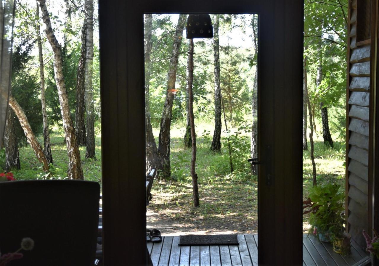 Berzu Namelis - Birch Cabin Kutsyuny Exterior foto