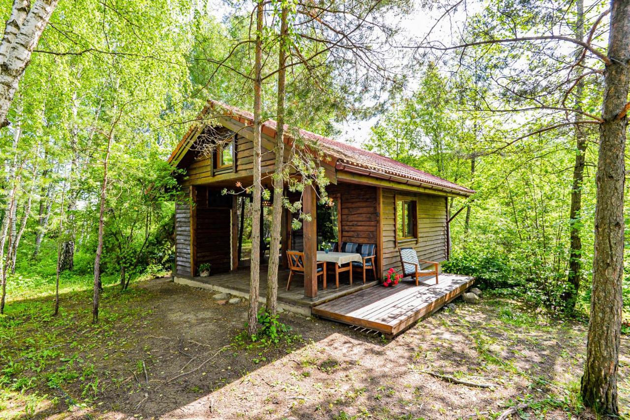 Berzu Namelis - Birch Cabin Kutsyuny Exterior foto
