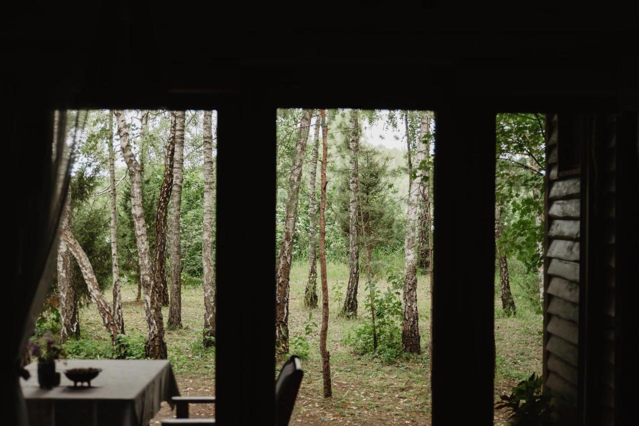 Berzu Namelis - Birch Cabin Kutsyuny Exterior foto