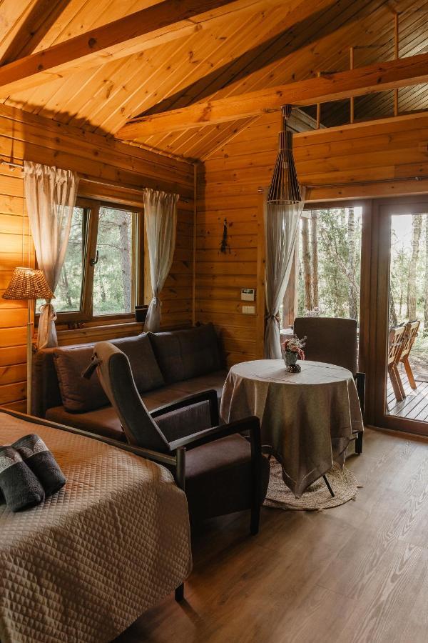 Berzu Namelis - Birch Cabin Kutsyuny Exterior foto