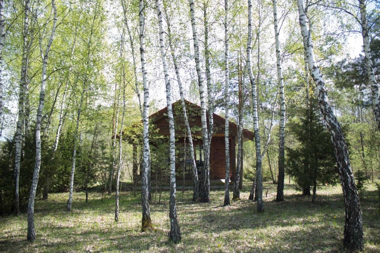 Berzu Namelis - Birch Cabin Kutsyuny Exterior foto
